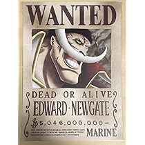 Amazon.co.jp: One piece ワンピース 手配書ポスター 海軍公式